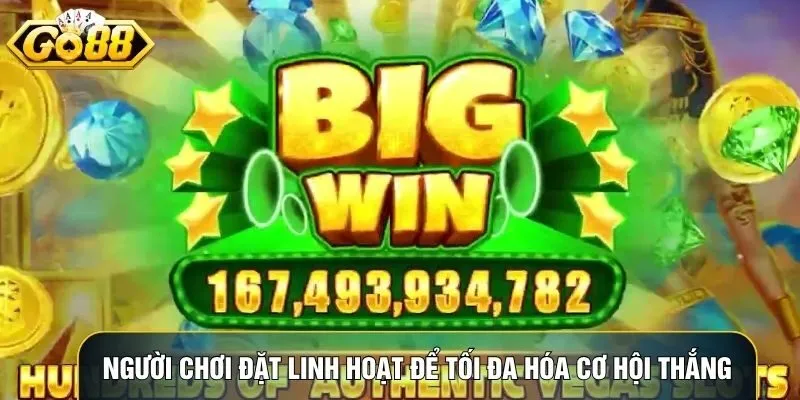 Người chơi đặt cược linh hoạt và áp dụng chiến thuật luân phiên để tối đa hóa cơ hội thắng